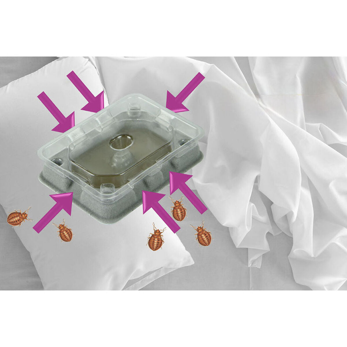 V4H02EB14B115F80F8D612FA2F253B3A9B6R4451846P3