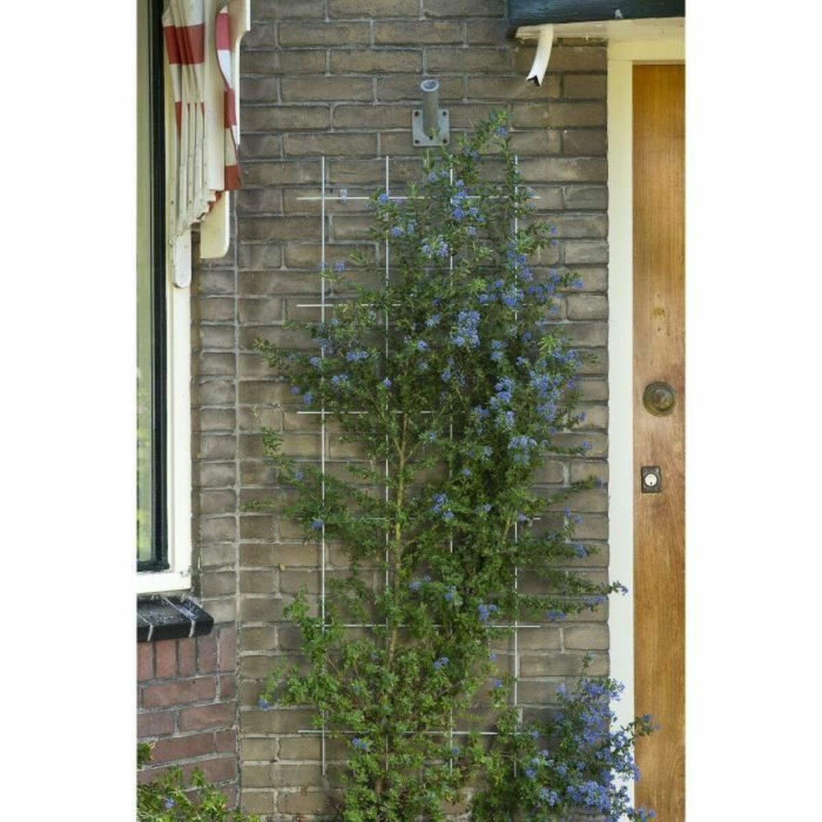 V7HD6C4949E70F7D948D0341FB5B249BF18R7321275P3