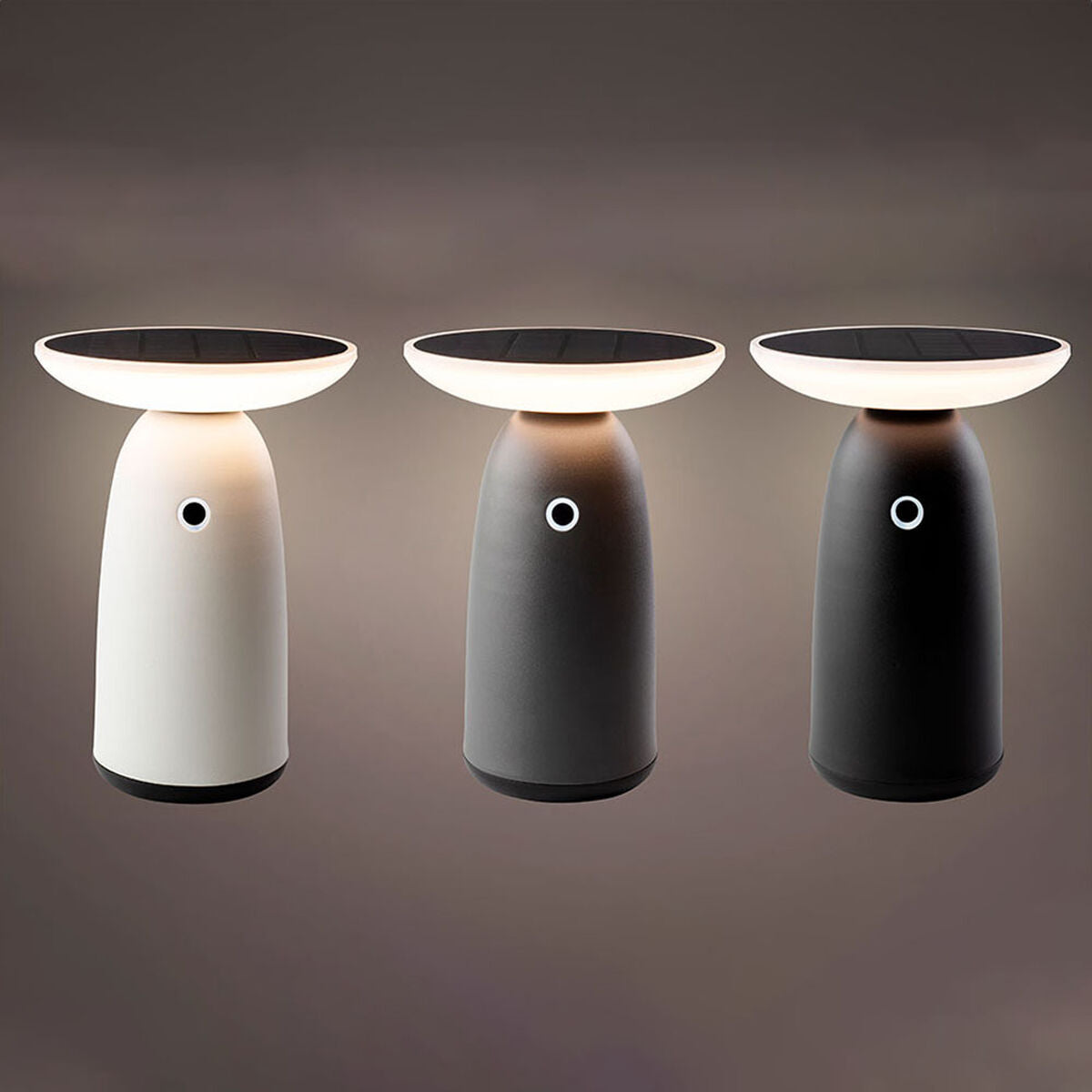 V5H2FDDF738B98778A756DC23EEDC9C96C1R4107081P2