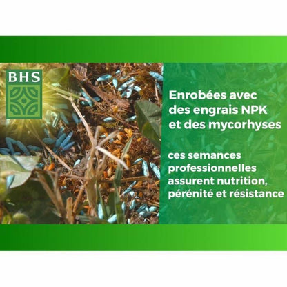 V4H2B350ADA2CEDA7BE6203A2911E641467R7178567P5