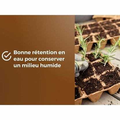 V3HBA0F161FE05873CECF08EF5F80867049R5809339P5