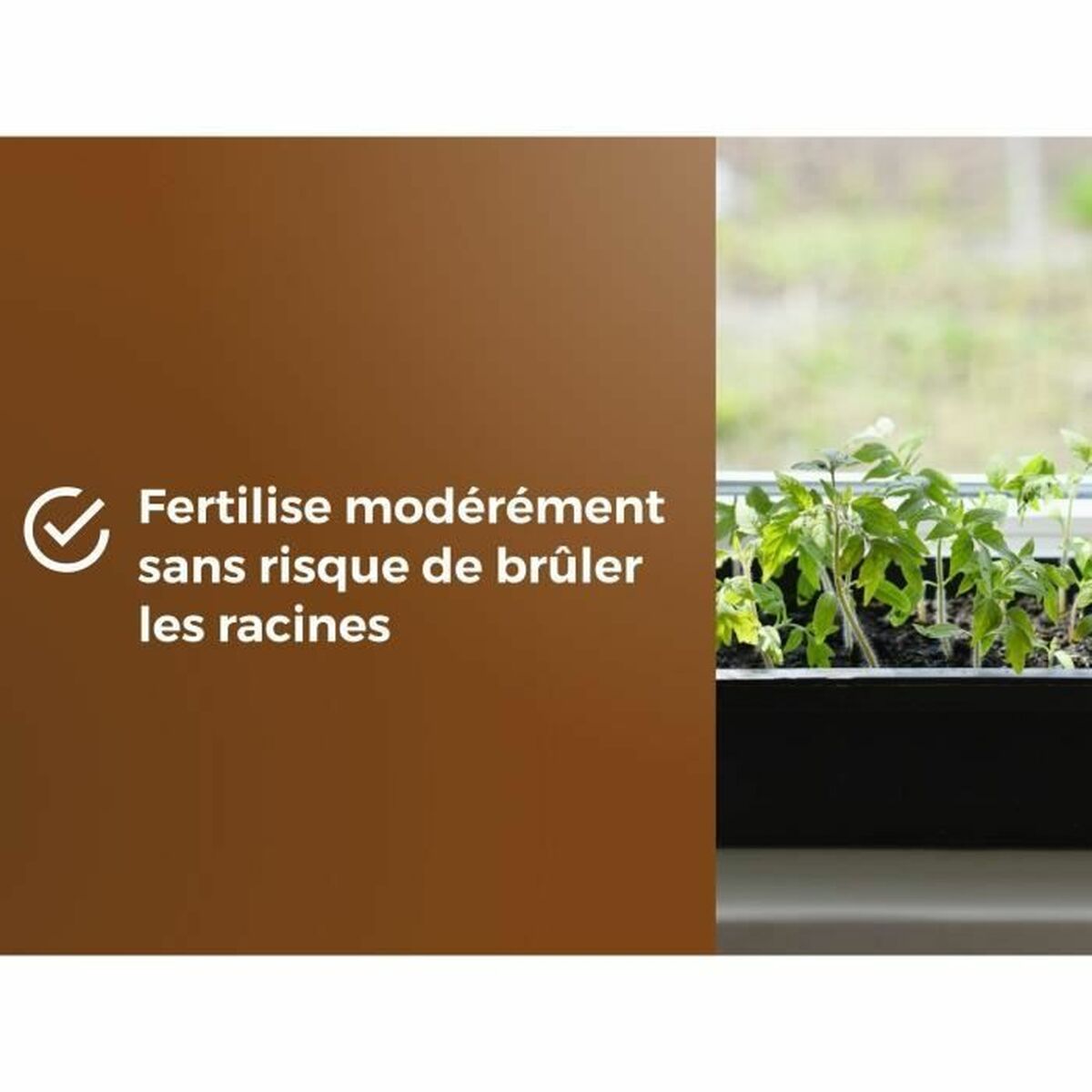 V3H074EAA3834488343D7DF2BB9ADA5AAD4R5809341P6