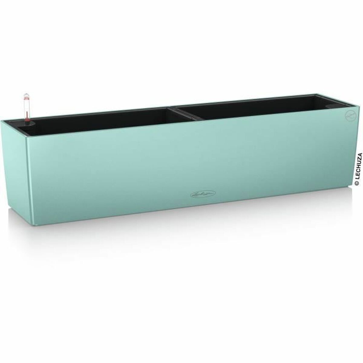 V4H7D8B144F008D8183B59D0F5A10190815R7370318P1