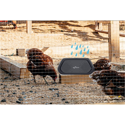 V4HC3081AFC0A6FA7DD1D8F8FB6F07E8173R4452147P2