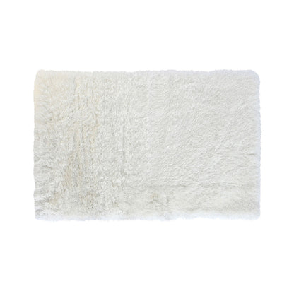 V5HC13E9F362F5ED7E5400A06A9CFDED82DR2401334P1