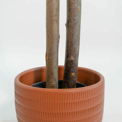 V6H9AC2A5AB66C9D0FDB3DF984A5297E881R6382094P2