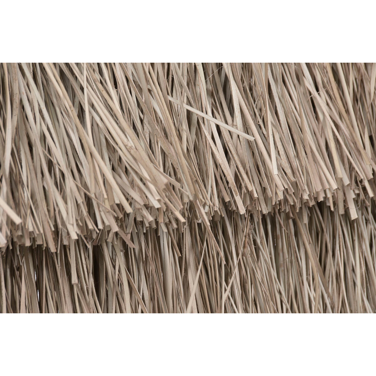 V2HA7EE06FDA06843A0FD0F3333A5AF4B37R7472297P8