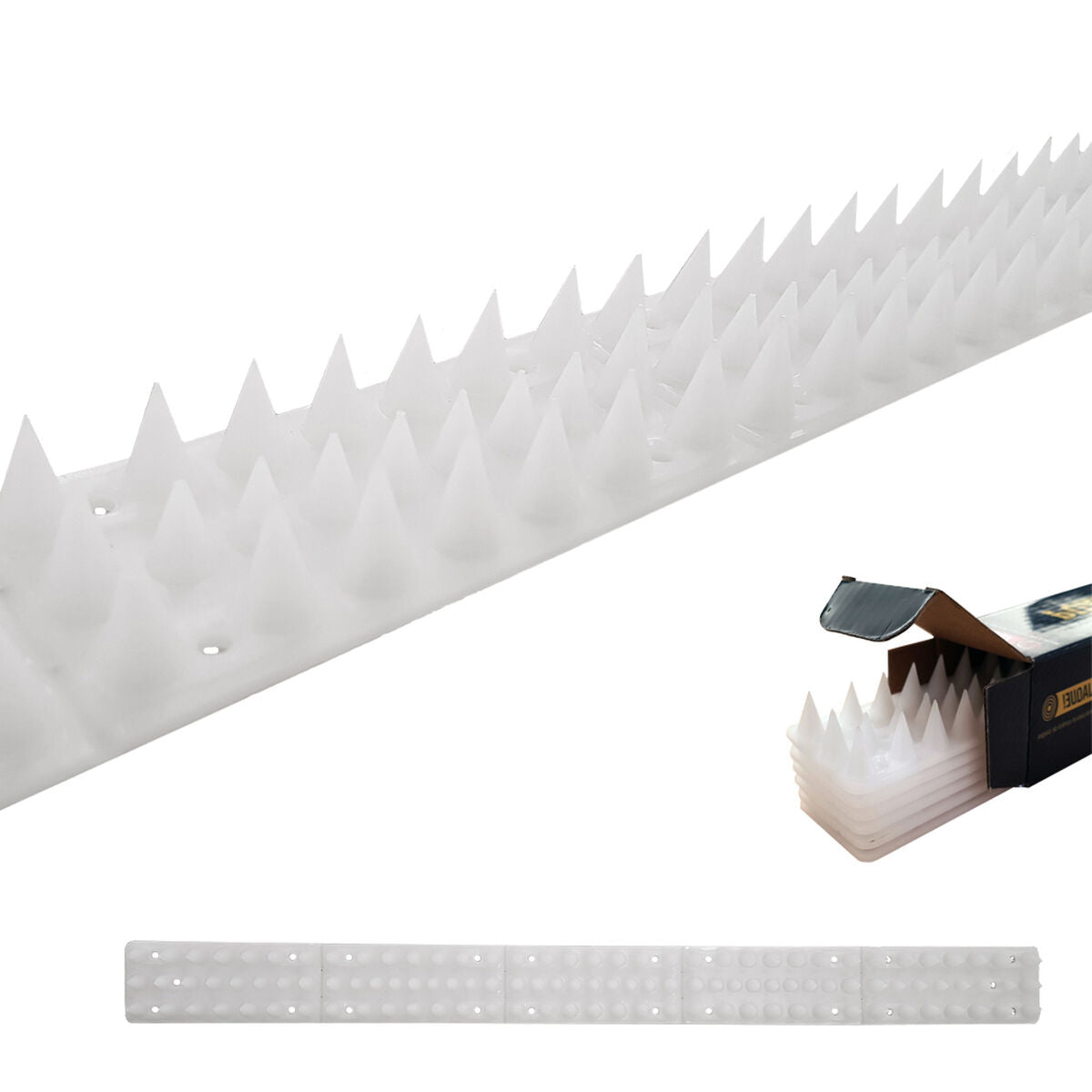 V8HD679AF58CF92CE4EB7BE8169240FEB8ER3246637P1