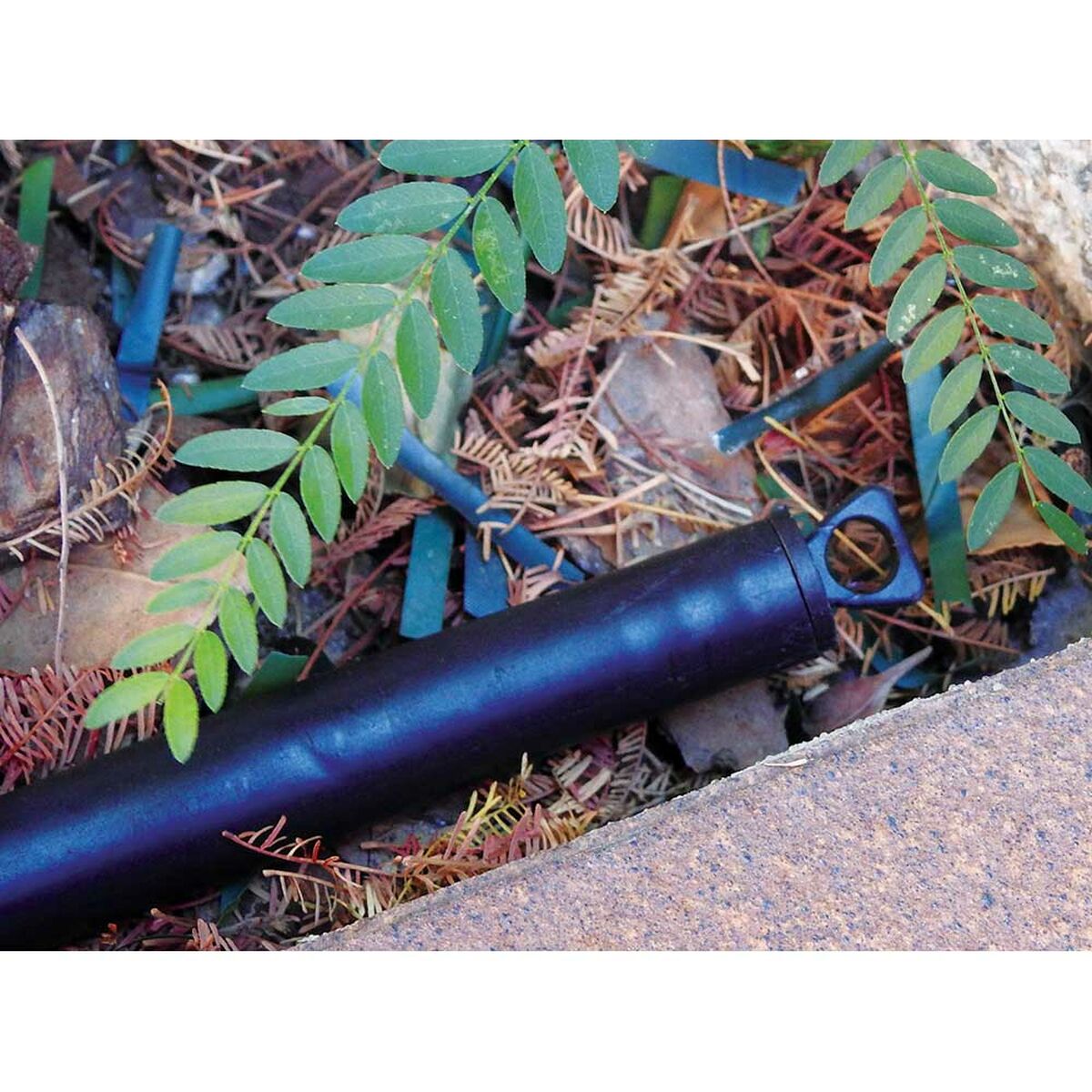 V4H6FB782C3D2C5A6C176CBA0E98C4CB41ER4463198P3