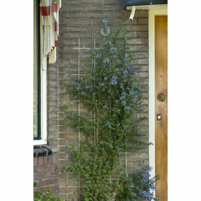 V9HD6C4949E70F7D948D0341FB5B249BF18R7321275P3