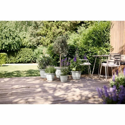 V3H00BE6A1B05BB125AE78CF401D802DF74R5529044P5